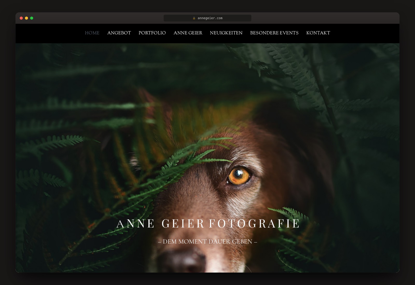 Anne Geier Fotografie — Website
