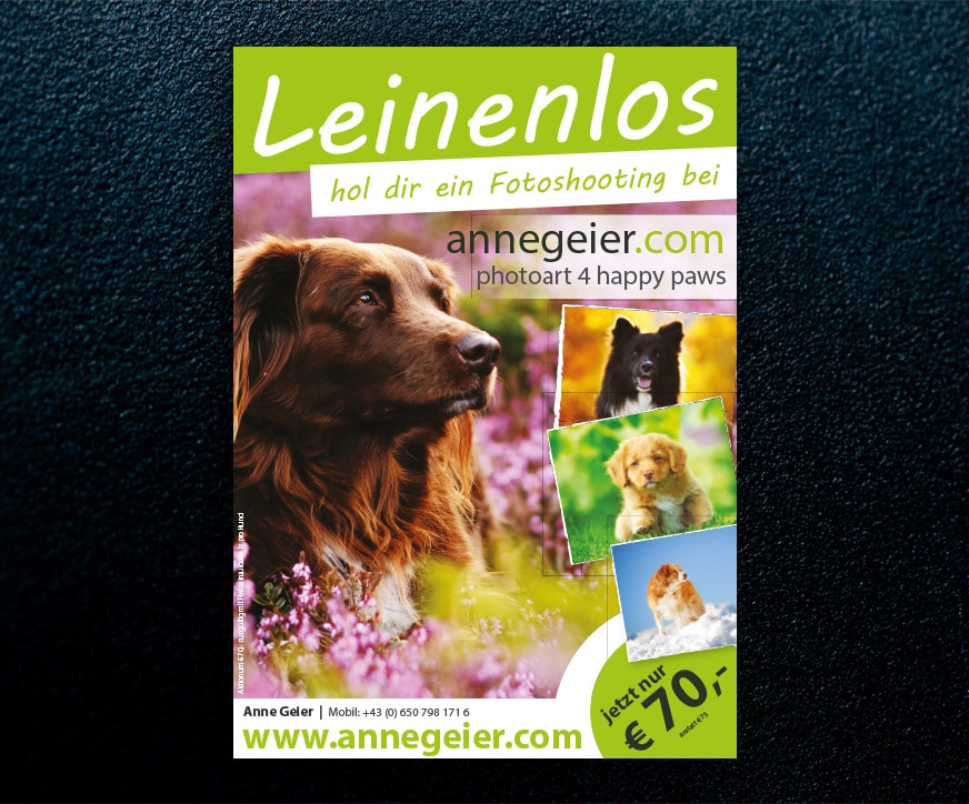 sawerbung-referenzen-anne-geier-flyer